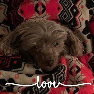 Meet your Posher, Karina